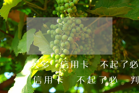 欠多張信用卡還不起了必須判刑么-欠多張信用卡還不起了必須判刑么嗎