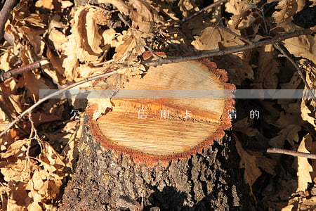 欠多張信用卡還清的