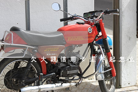 欠大額信用卡還不起怎么辦