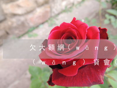 欠大額網(wǎng)貸分期上門(欠兩千網(wǎng)貸會(huì)上門么)
