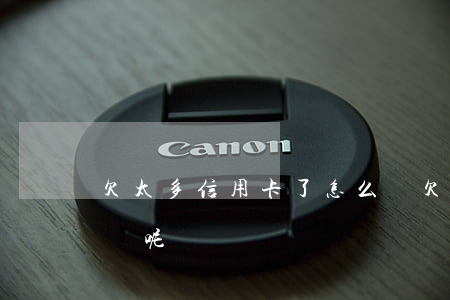 欠太多信用卡了怎么辦(欠太多信用卡了怎么辦呢)