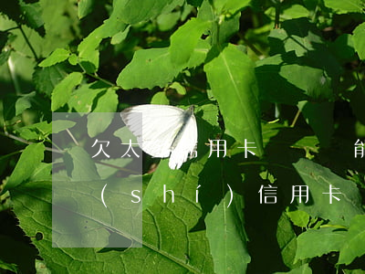 欠太多信用卡沒還還能貸到款嗎(銀行貸款時(shí)信用卡還有錢沒還可以貸嗎)