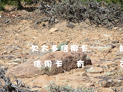 欠太多信用卡沒還還能貸到款嗎(銀行貸款時信用卡還有錢沒還可以貸嗎)