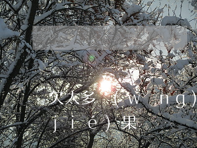 欠太多網(wǎng)貸無力償還最壞結(jié)果