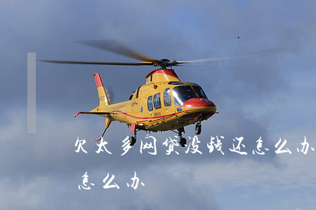 欠太多网贷没钱还怎么办(欠太多网贷没钱还怎么办)