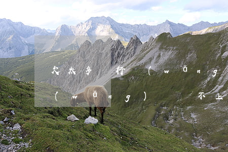 欠太多銀行網(wǎng)貸還不上(欠了網(wǎng)貸還不上)
