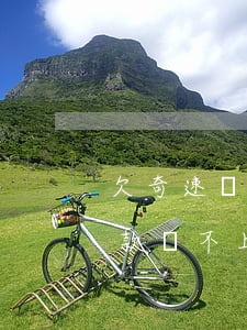 欠奇速貸沒(méi)還能上征信嗎(捷信貸款還不上會(huì)上征信嗎)