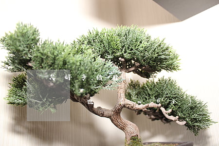 欠好多信用卡確實(shí)沒(méi)錢還也沒(méi)資產(chǎn)-欠好多信用卡確實(shí)沒(méi)錢還也沒(méi)資產(chǎn)怎么辦