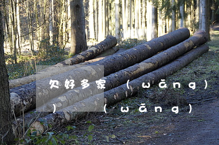 欠好多家網(wǎng)貸一年沒(méi)還(網(wǎng)貸好多年沒(méi)有還)