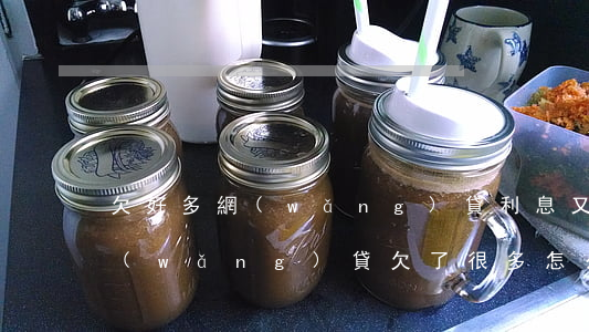 欠好多網(wǎng)貸利息又高怎么辦(網(wǎng)貸欠了很多怎么辦)