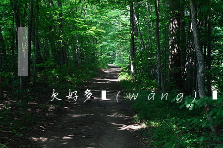 欠好多網(wǎng)貸我該怎么辦怎么還