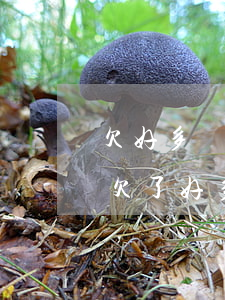 欠好多網(wǎng)貸沒錢還沒法生活了(欠了好多網(wǎng)貸沒錢還怎么辦?)
