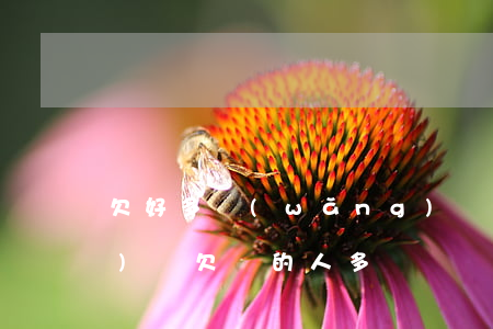 欠好多網(wǎng)貸的錢(網(wǎng)貸欠錢的人多嗎)