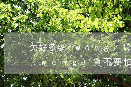 欠好多網(wǎng)貸要生孩子了(欠了網(wǎng)貸不要怕)