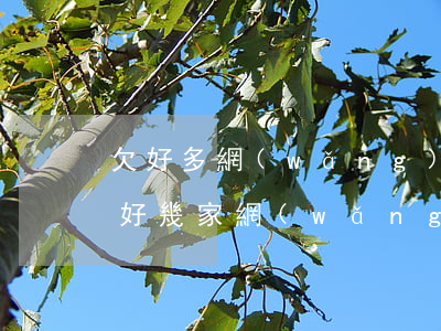 欠好多網(wǎng)貸還不上會怎么樣(欠好幾家網(wǎng)貸還不上怎么辦)