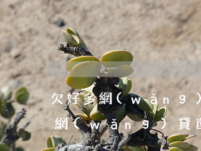 欠好多網(wǎng)貸還有出路嗎(欠好多網(wǎng)貸還有出路嗎)