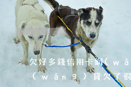 欠好多錢信用卡網(wǎng)貸怎么辦(網(wǎng)貸欠了很多錢怎么辦)