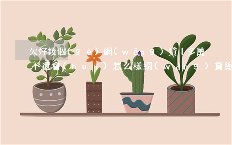 欠好幾個(gè)網(wǎng)貸十多萬不還會(huì)怎么樣(網(wǎng)貸總共欠10萬有不還的嗎)