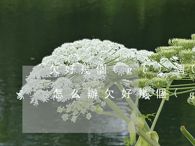 欠好幾個(gè)網(wǎng)貸逾期了怎么辦(欠好幾個(gè)網(wǎng)貸逾期了怎么辦)