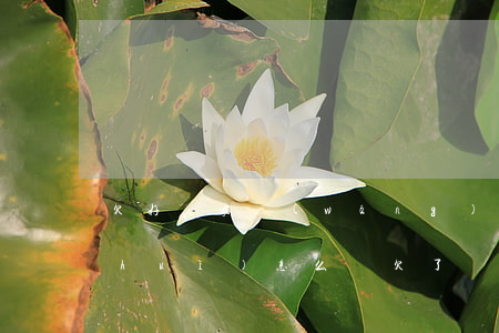 欠好幾家網(wǎng)貸公司錢沒還會(huì)怎么樣(欠了幾家網(wǎng)貸不還怎樣)