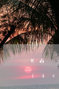 欠好幾家網(wǎng)貸還不起了(現(xiàn)在有多少欠網(wǎng)貸還不起的)