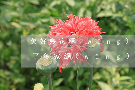 欠好幾家網(wǎng)貸還了一家(哪些欠了多家網(wǎng)貸還不上的人,到最后都怎么樣了?)