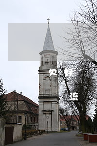 欠好幾張信用卡(欠好幾張信用卡的錢該怎么輪流還)