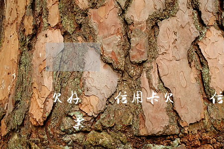 欠好幾萬信用卡(欠幾萬信用卡沒還法院下了傳票)
