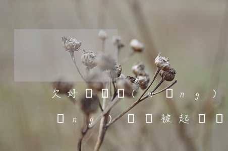 欠好幾萬網(wǎng)貸(欠好幾萬網(wǎng)貸會被起訴嗎)