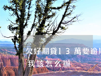 欠好期貸13萬要逾期了怎么辦(逾期十幾萬我該怎么辦)