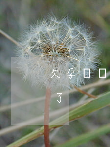 欠孕婦錢起訴索取賠償（懷孕期間欠錢被起訴了）