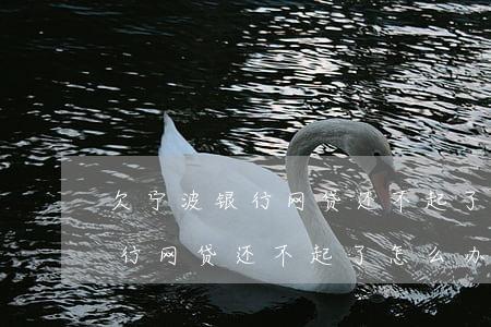 欠宁波银行网贷还不起了怎么办-欠宁波银行网贷还不起了怎么办呢