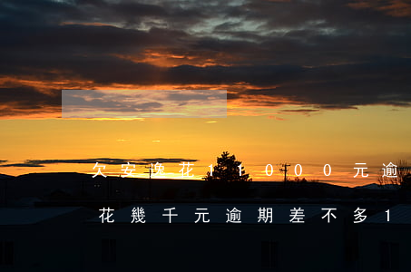 欠安逸花11000元逾期9個月-欠安逸花幾千元逾期差不多1年了會不會起訴