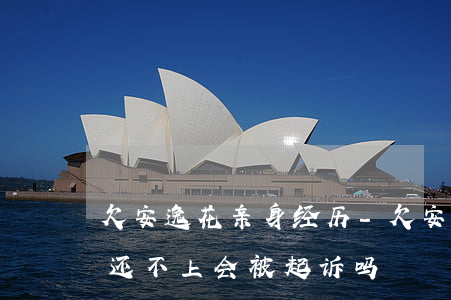 欠安逸花亲身经历-欠安逸花一万多两年了还不上会被起诉吗?