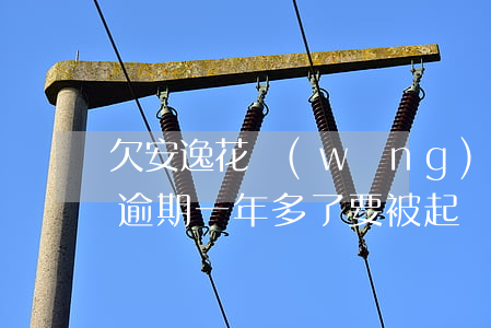 欠安逸花網(wǎng)貸逾期六年(安逸花逾期一年多了要被起訴是真的嗎)