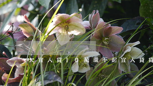欠宜人貸10萬還不起(宜人貸貸款不還行嗎)