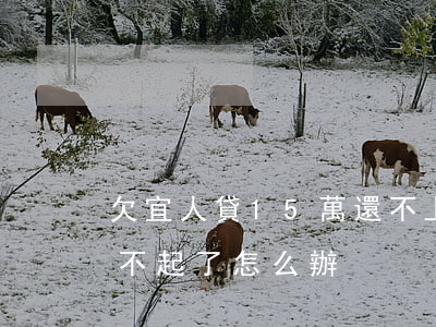 欠宜人貸15萬還不上怎么辦(宜人貸的錢還不起了怎么辦??)