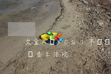 欠宜人貸3000不還會被告嗎(宜人貸會不會告上法院)