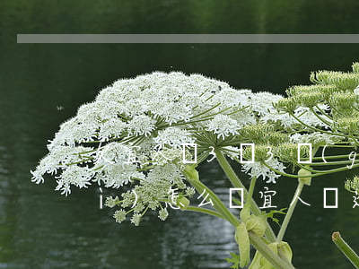 欠宜人貸3萬3個(gè)月沒還會(huì)怎么樣(宜人貸逾期了兩個(gè)月真沒錢還了怎么辦)