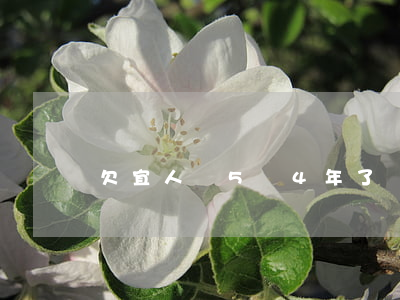 欠宜人貸5萬4年了