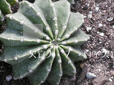 欠宜人貸7個月了(欠宜人貸7個月了)