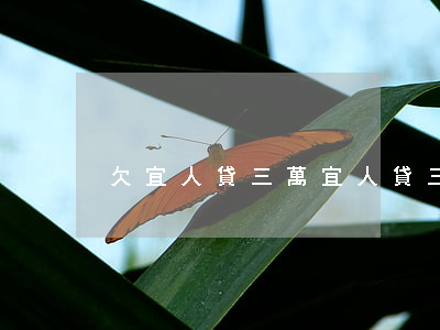 欠宜人貸三萬(宜人貸三年未還)