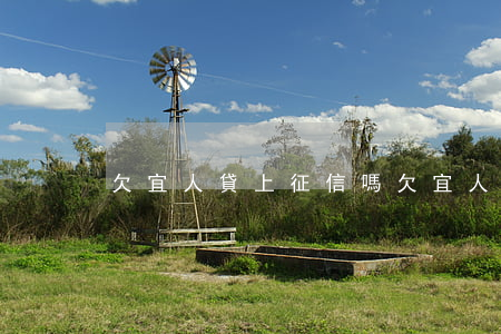 欠宜人貸上征信嗎(欠宜人貸上征信嗎)