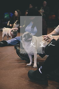 欠宜人貸九萬怎么辦(宜人貸借五萬還九萬)