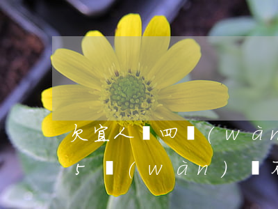 欠宜人貸四萬(wàn)多怎么辦(欠宜人貸5萬(wàn)還不上,說(shuō)過(guò)幾天就要上門(mén)催債)