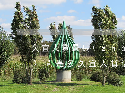 欠宜人貸最長(zhǎng)的時(shí)間是多久(宜人貸這幾天怎么了)