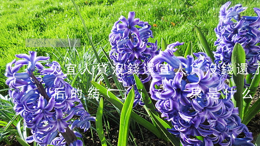 欠宜人貸沒錢還(宜人貸沒錢還了,有人遭遇最后的結(jié)果是什么)