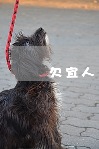 欠宜人貸的錢不還可以嗎