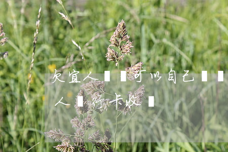 欠宜人貸錢可以自己從銀行卡扣嗎(貸款用他人銀行卡收錢)
