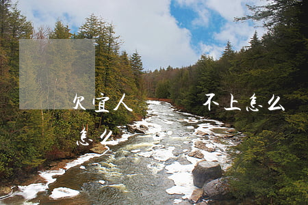 欠宜人貸錢還不上怎么辦(欠宜人貸錢還不上怎么辦)